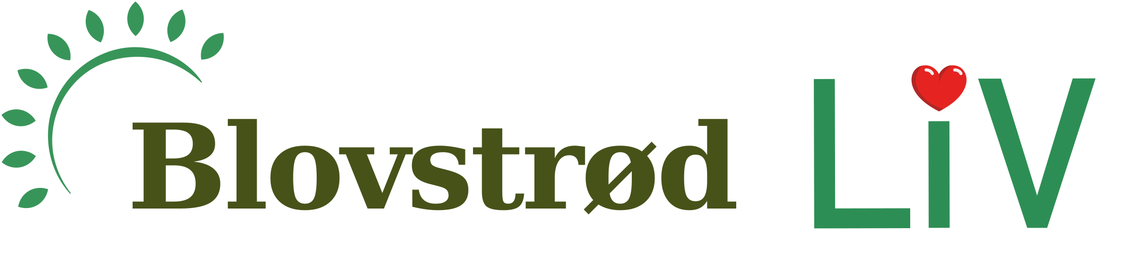 Blovstrød LiV – forside