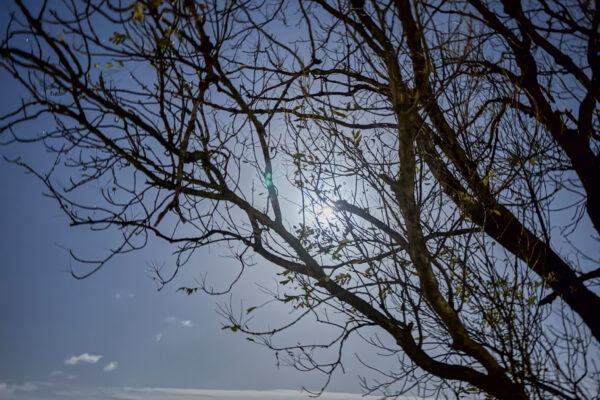 smallWWM----104-IMG_5109